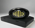 Battery Powered Rock Light (preorder)